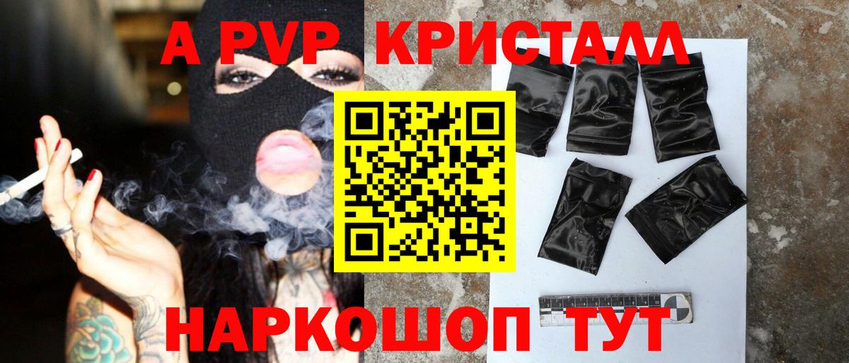 A PVP СК КРИС Курчалой