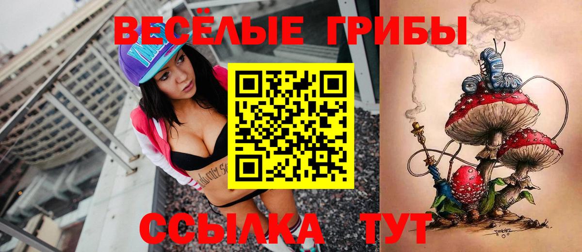 Галлюциногенные грибы Psilocybe  Вход с VPN  Курчалой 